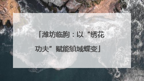 潍坊临朐：以“绣花功夫”赋能镇域蝶变