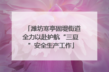 潍坊寒亭固堤街道全力以赴护航“三夏”安全生产工作