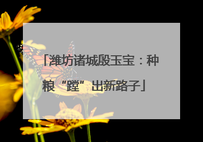 潍坊诸城殷玉宝：种粮“蹚”出新路子