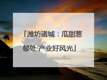 潍坊诸城：瓜甜葱郁处 产业好风光