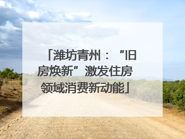潍坊青州：“旧房焕新”激发住房领域消费新动能