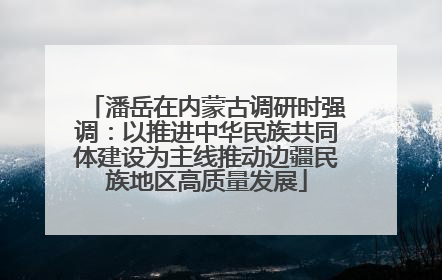 潘岳在内蒙古调研时强调：以推进中华民族共同体建设为主线推动边疆民族地区高质量发展