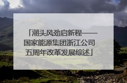 潮头风劲启新程——国家能源集团浙江公司五周年改革发展综述