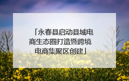 永春县启动县域电商生态圈打造暨跨境电商集聚区创建