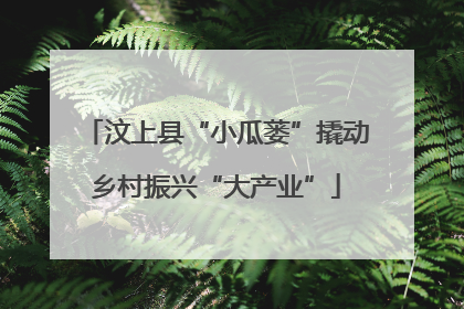 汶上县“小瓜蒌”撬动乡村振兴“大产业”