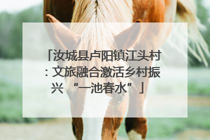 汝城县卢阳镇江头村：文旅融合激活乡村振兴 “一池春水”