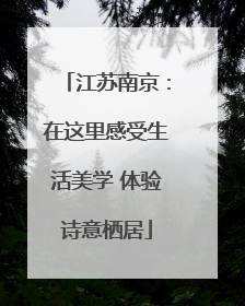江苏南京：在这里感受生活美学 体验诗意栖居