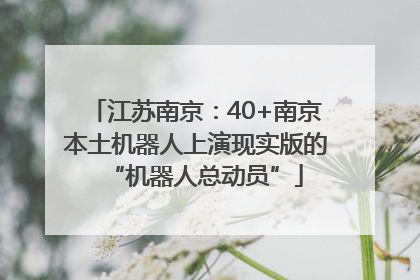 江苏南京：40+南京本土机器人上演现实版的“机器人总动员”