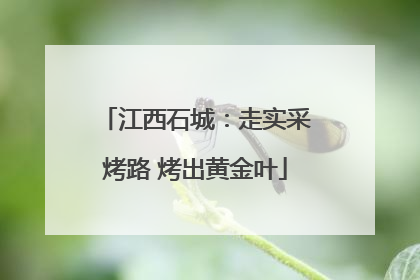 江西石城：走实采烤路 烤出黄金叶