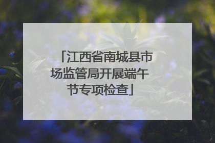 江西省南城县市场监管局开展端午节专项检查