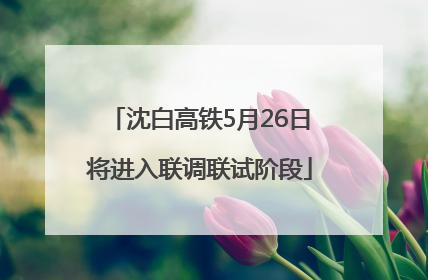沈白高铁5月26日将进入联调联试阶段