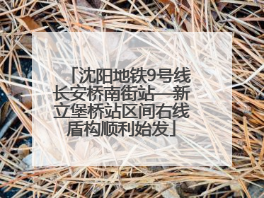 沈阳地铁9号线长安桥南街站—新立堡桥站区间右线盾构顺利始发