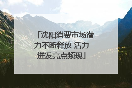 沈阳消费市场潜力不断释放 活力迸发亮点频现