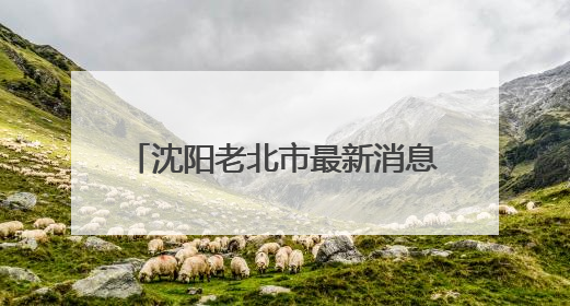 沈阳老北市最新消息！“凤舞九天”科技秀演出时间调整！