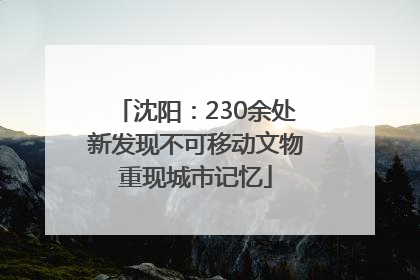 沈阳：230余处新发现不可移动文物重现城市记忆