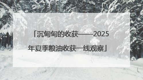 沉甸甸的收获——2025年夏季粮油收获一线观察