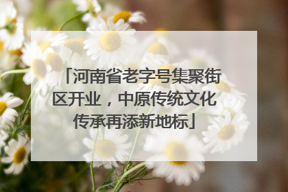 河南省老字号集聚街区开业，中原传统文化传承再添新地标