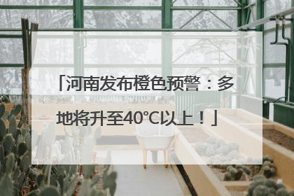 河南发布橙色预警：多地将升至40℃以上！