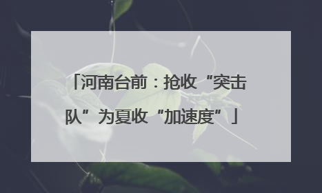河南台前：抢收“突击队”为夏收“加速度”