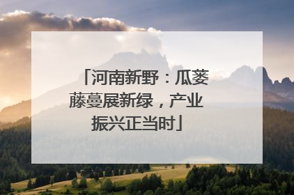 河南新野：瓜蒌藤蔓展新绿，产业振兴正当时