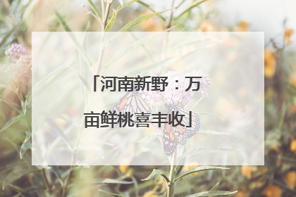 河南新野：万亩鲜桃喜丰收