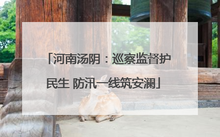 河南汤阴：巡察监督护民生 防汛一线筑安澜