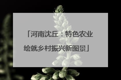 河南沈丘:特色农业绘就乡村振兴新图景