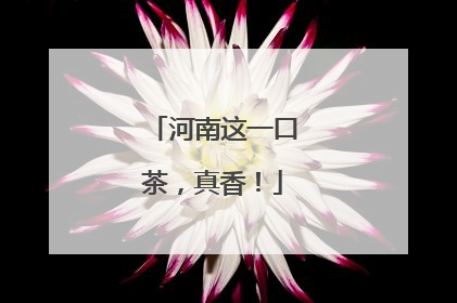 河南这一口茶，真香！