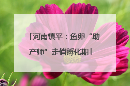 河南镇平：鱼卵“助产师”走俏孵化期