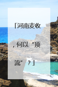 河南麦收，何以“顶流”？