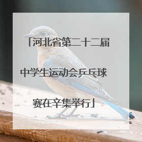 河北省第二十二届中学生运动会乒乓球赛在辛集举行