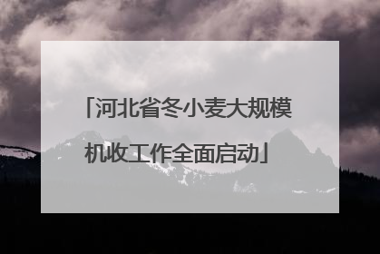 河北省冬小麦大规模机收工作全面启动