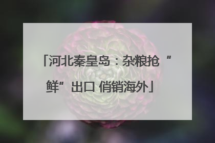 河北秦皇岛：杂粮抢“鲜”出口 俏销海外