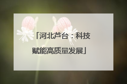 河北芦台：科技赋能高质量发展