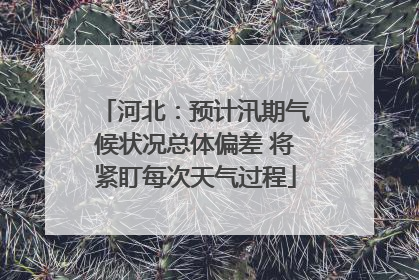 河北：预计汛期气候状况总体偏差 将紧盯每次天气过程