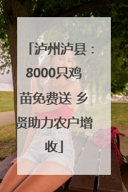 泸州泸县：8000只鸡苗免费送 乡贤助力农户增收