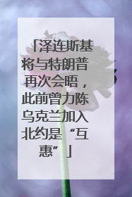 泽连斯基将与特朗普再次会晤，此前曾力陈乌克兰加入北约是“互惠”