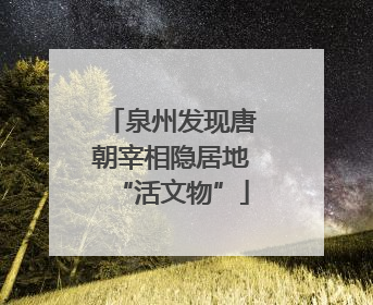 泉州发现唐朝宰相隐居地“活文物”