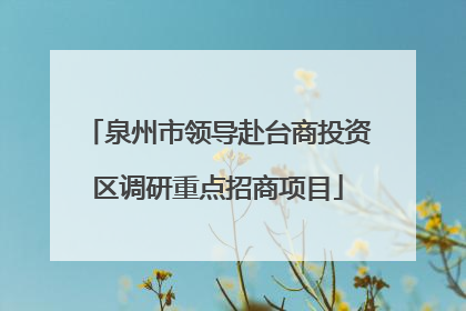 泉州市领导赴台商投资区调研重点招商项目