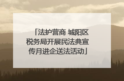 法护营商 城阳区税务局开展民法典宣传月进企送法活动