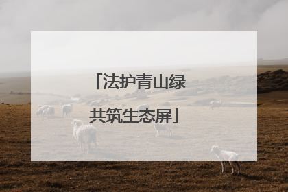 法护青山绿 共筑生态屏