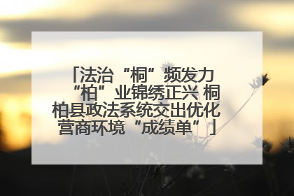 法治“桐”频发力 “柏”业锦绣正兴 桐柏县政法系统交出优化营商环境“成绩单”