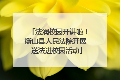 法润校园开讲啦！衡山县人民法院开展 送法进校园活动