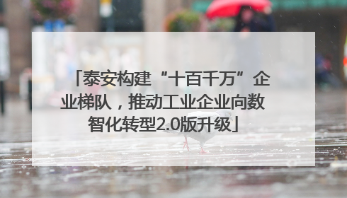 泰安构建“十百千万”企业梯队，推动工业企业向数智化转型2.0版升级
