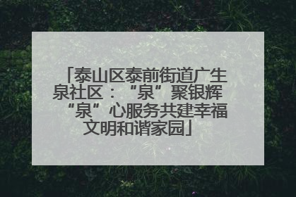 泰山区泰前街道广生泉社区：“泉”聚银辉“泉”心服务共建幸福文明和谐家园