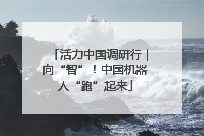 活力中国调研行｜向“智”！中国机器人“跑”起来
