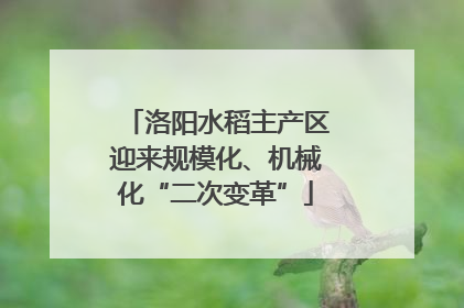 洛阳水稻主产区迎来规模化、机械化“二次变革”