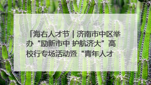 海右人才节｜济南市中区举办“励新市中 护航济大”高校行专场活动暨“青年人才 乐享市中”品牌推介会
