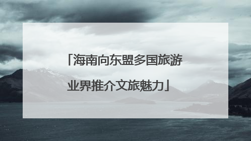 海南向东盟多国旅游业界推介文旅魅力