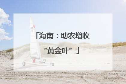 海南：助农增收 “黄金叶”